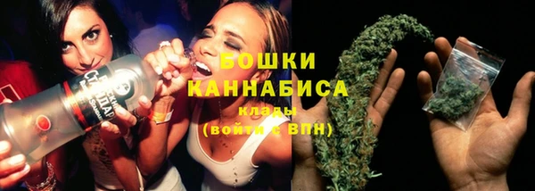 индика Кулебаки
