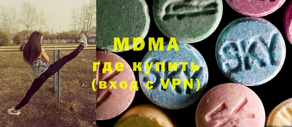 индика Кулебаки