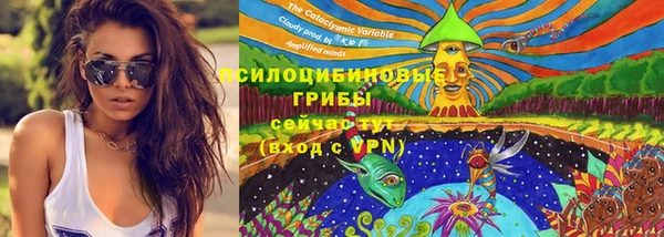 трава Лабытнанги