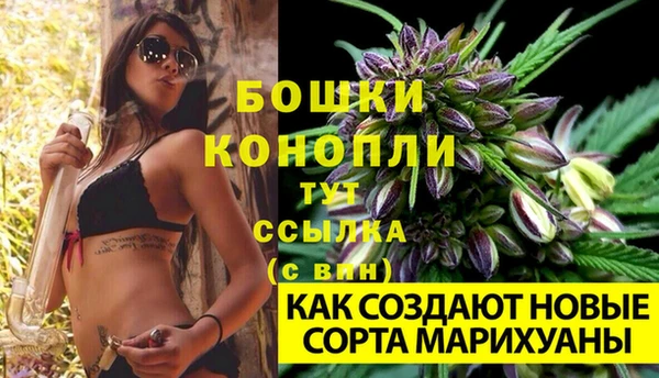 кокс Ладушкин
