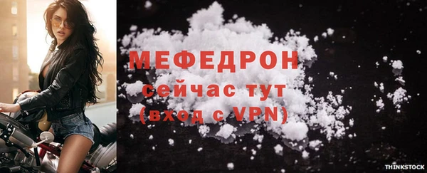 индика Кулебаки