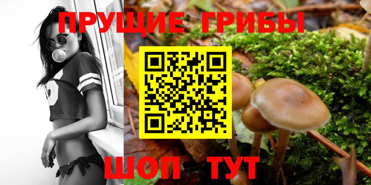 Галлюциногенные грибы Magic Shrooms  Галлюциногенные грибы Cubensis  Вход с VPN  Муравленко 