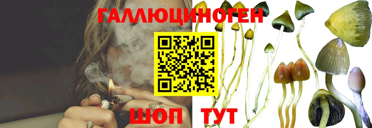 Галлюциногенные грибы Magic Shrooms  наркота  Муравленко  Псилоцибиновые грибы Magic Shrooms 